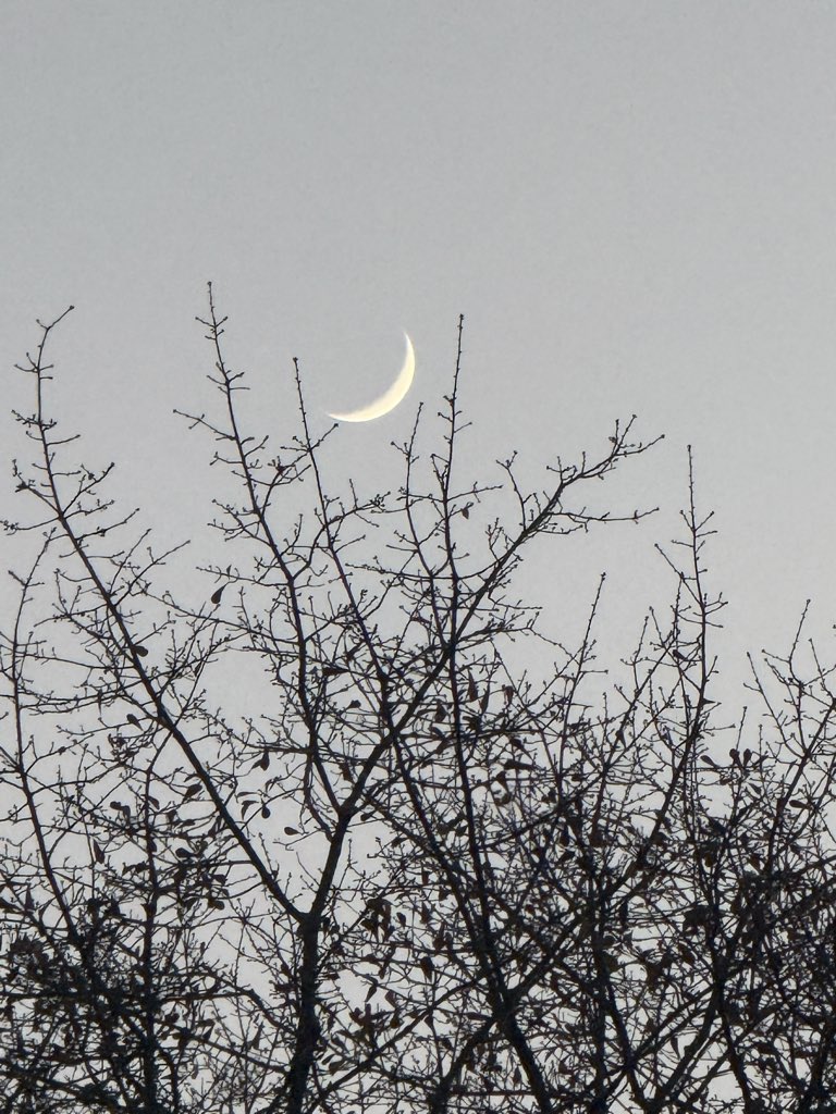 ليا يومين كل ما أشوفه يزوغ مني
انهاردة قبضتو