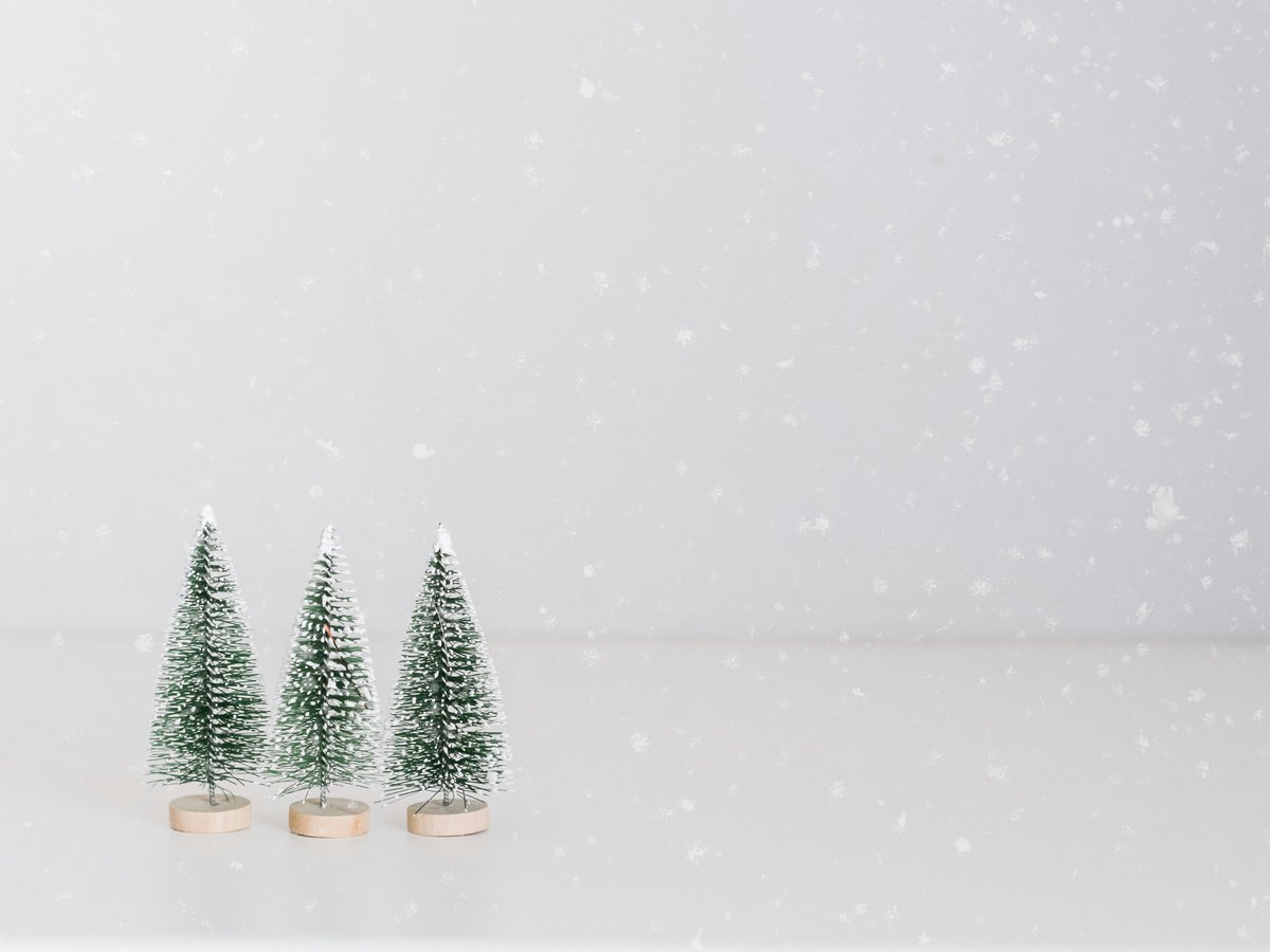 Projection tweet media