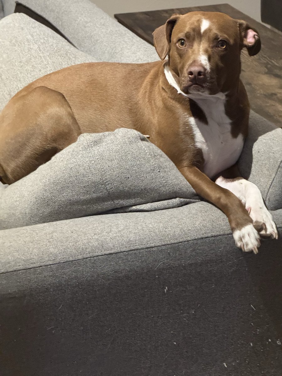 Schnerb_'s tweet image. A distinguished gentleman