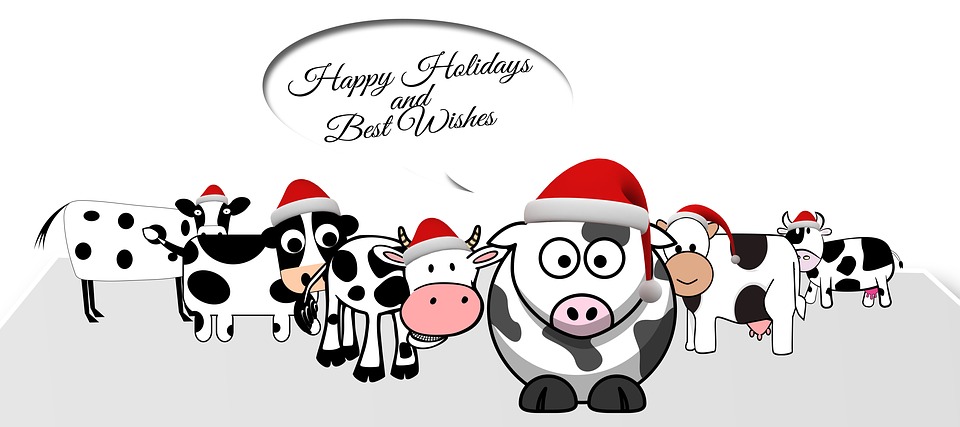 Matilda a Model Cow 🚜 tweet media