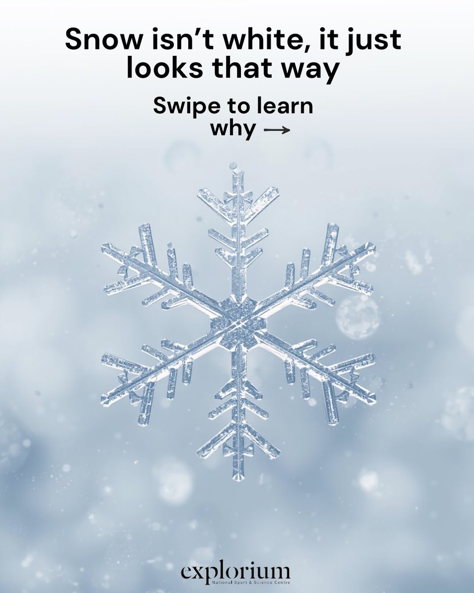 ExploriumI's tweet image. Ever wondered why snow looks white? ❄️🔬
Swipe to find out 👉 #funfact #explorium