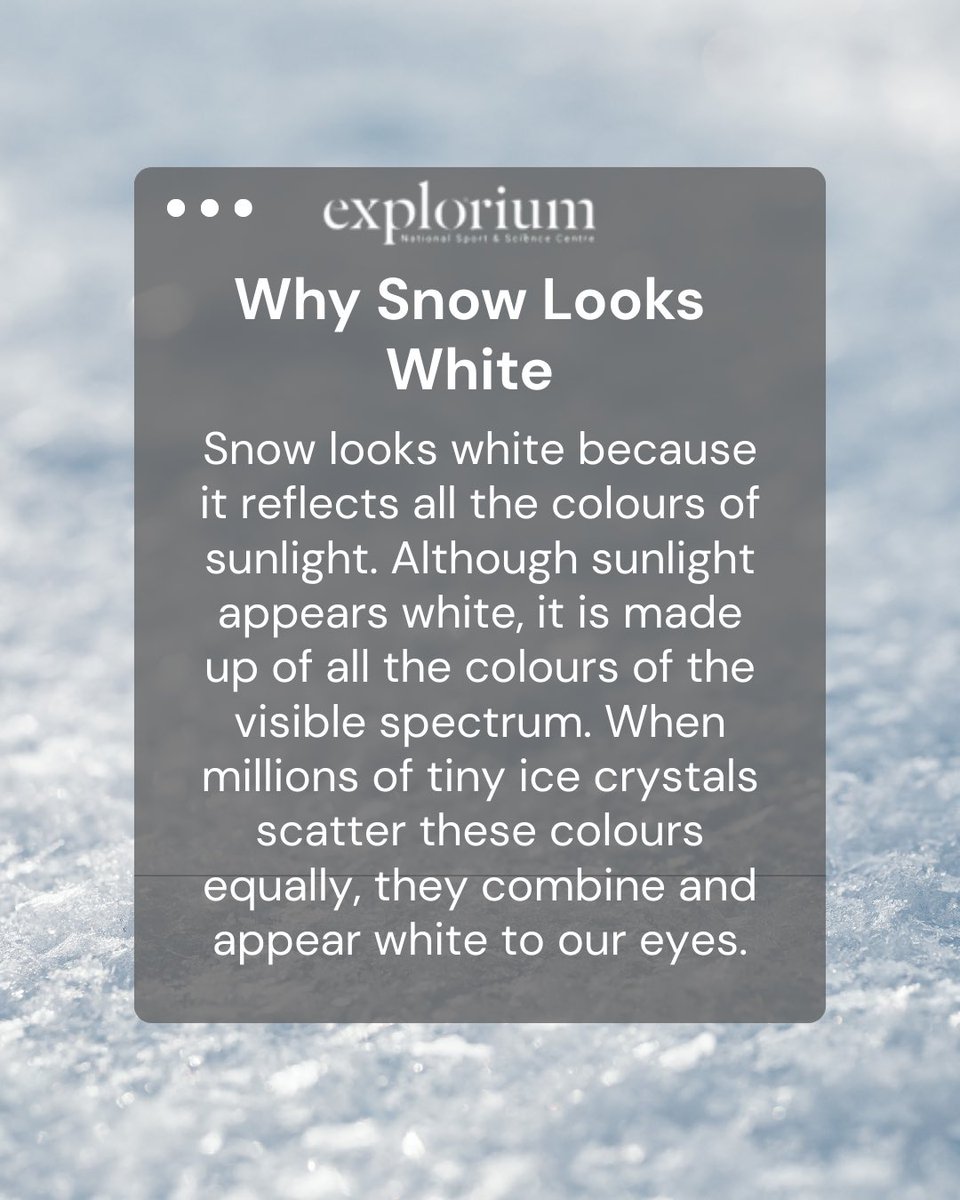 ExploriumI's tweet image. Ever wondered why snow looks white? ❄️🔬
Swipe to find out 👉 #funfact #explorium