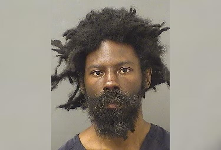 memeticsisyphus's tweet image. Anyone want to guess how many priors?