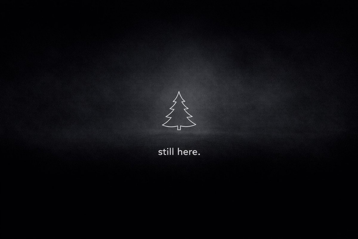 stilldevsol's tweet image. No scam, no bundle just still.