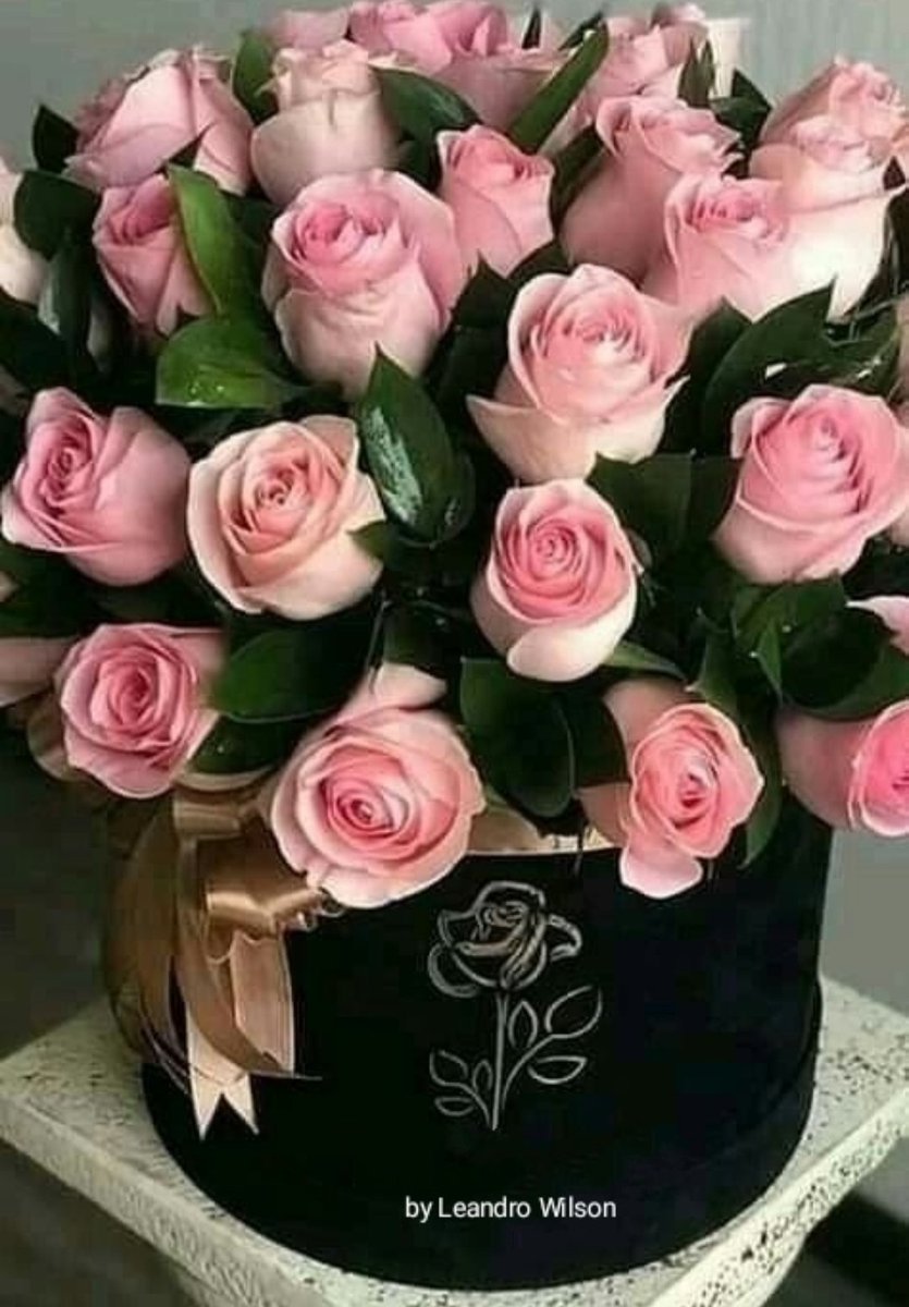 Te deseo lo mejor mi bella, felíz cumpleaños y bendiciones..
Nosotros #Venceremos
🌹🌹🌹🌹🌹🌹🌹🌹🌹🌹
🎂🍮🥂🍾🍷🍸🍹🥃🍺🍻
<a href="/AGarfield_17/">🐈La chica Garfield 🐾</a>