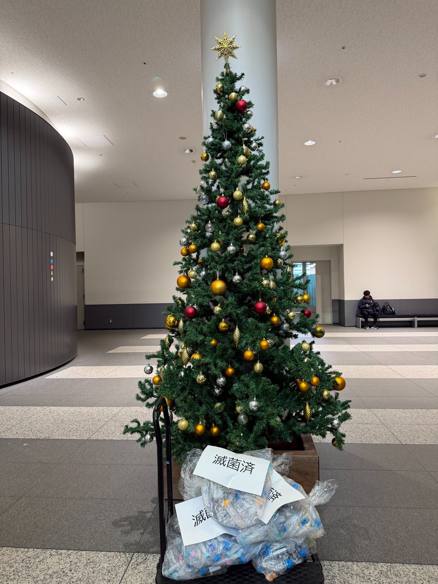 shibaura_it's tweet photo. 🎄大学院生のクリスマス🎄

大学院生にはクリスマス関係ありません。
もちろん研究です。
サンタさん、いい実験結果をプレゼントしてください。。

#芝浦工業大学 #広報アンバサダーの日常
#クリスマス #脱クリぼっち https://t.co/eNnOTTL9ra