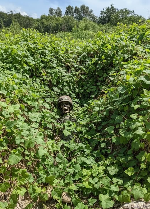 Classroom41's tweet image. ตั้งแต่รอบแรกจนถึงตอนนี้ ยังอยู่ที่เดิม🇰🇭🇰🇭  555