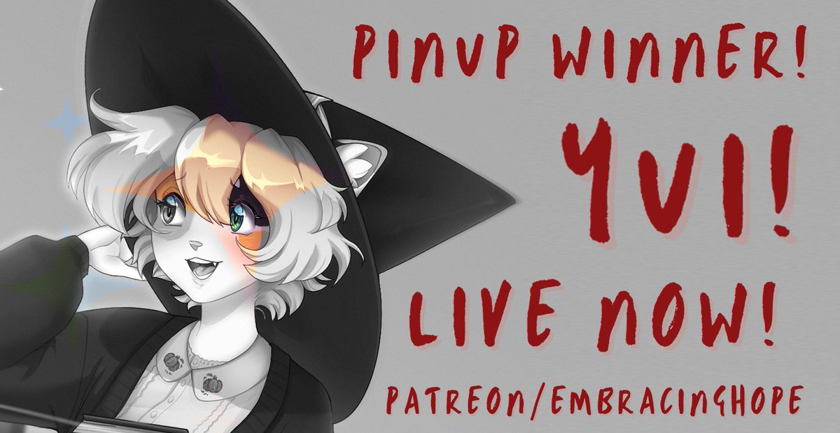 Embracing Hope Light Novel tweet media