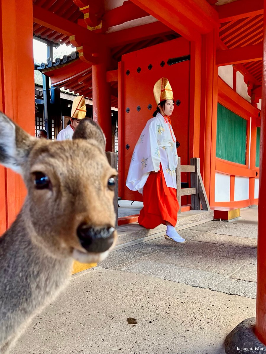 小鹿。 (@kojikanobambi) / Posts / X