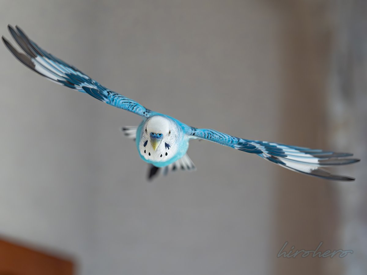 hirohero (@hirohero) / Posts / X