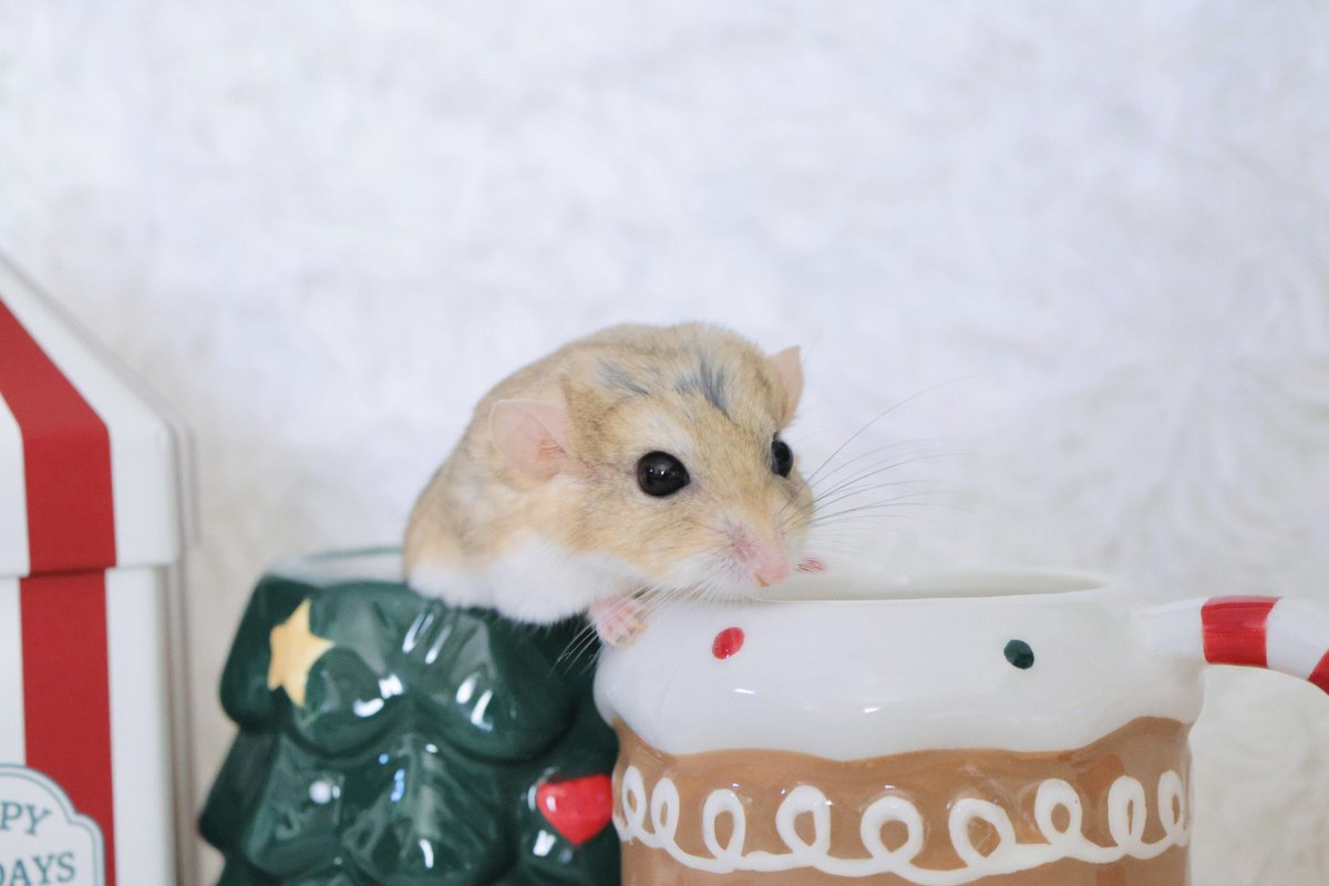 ネズミページ♡⃜ Amazon.co.jp: ねずみさんのパンツ : tupera tupera: 本