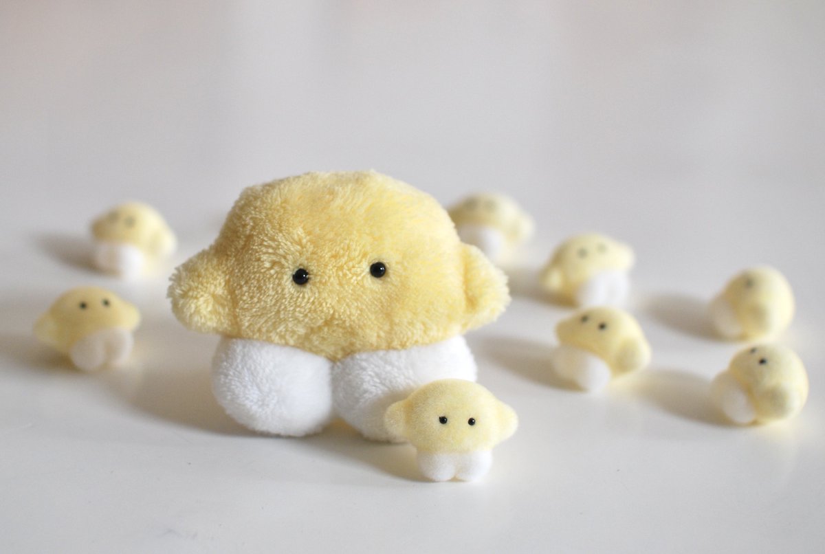 ぷこんぬ!/PUKONNU!✦福袋販売中✦ (@PUKONNU) / Posts / X