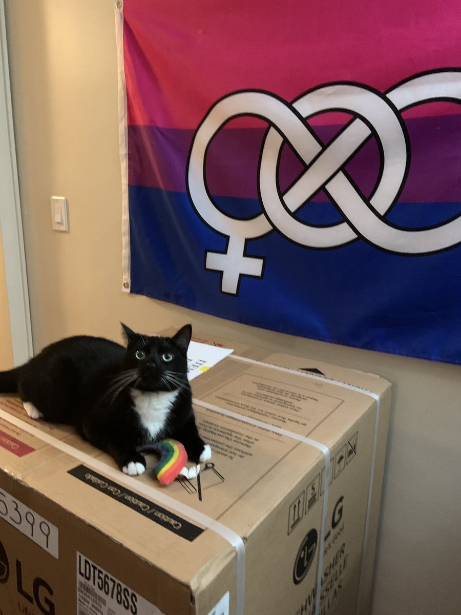 Zenith 🦇🌙🐈‍⬛ tweet media