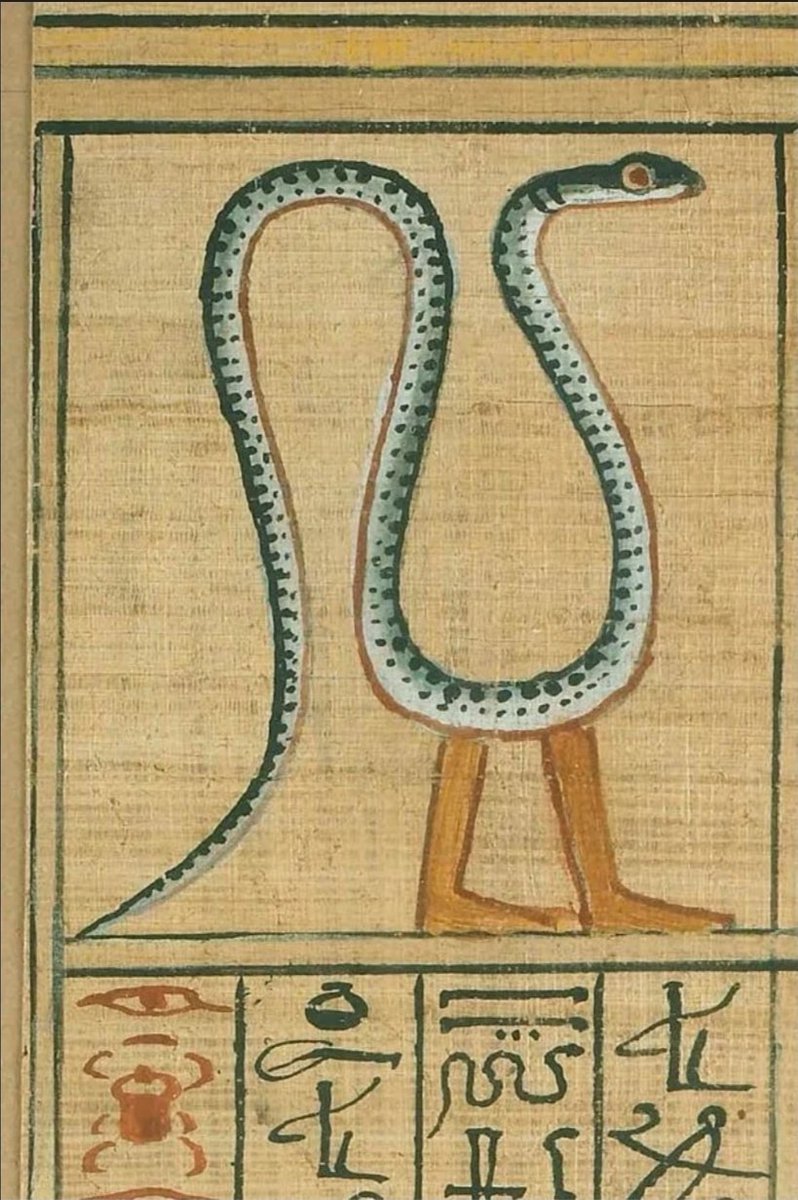 RjNol's tweet photo. The Egyptians worshipped a serpent god with legs called Nehebkau or Nehebu-Kau. A primordial deity associated with the underworld and protection, described as a large snake with feet, who helped connect the soul (ka) to the body and assisted Ra on his nightly journey, being one of the benevolent gods of the judgment of the dead.
So...