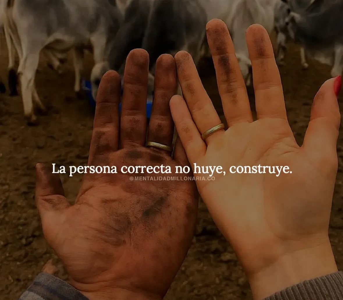 Pensamientos tweet media