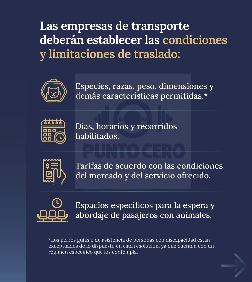 puntocero_ar's tweet image. 