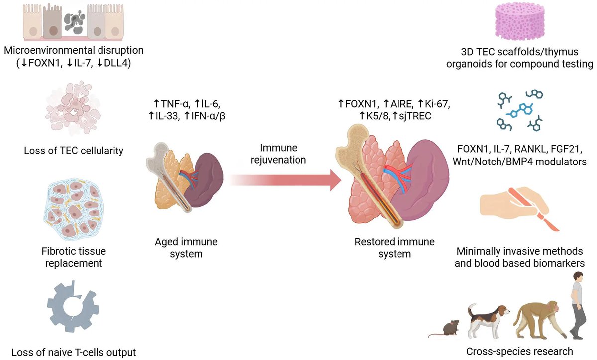 Yu-Xuan Lyu (Lu), PhD tweet media