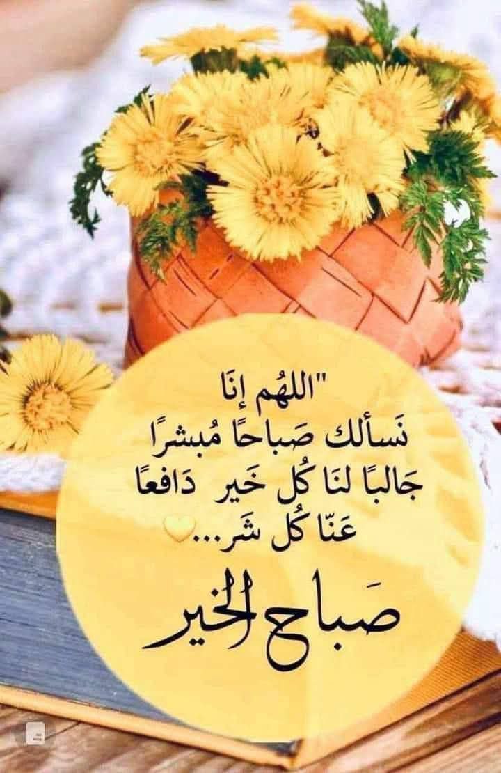 famf120's tweet photo. صباح الخير https://t.co/jbC4CjnGUy