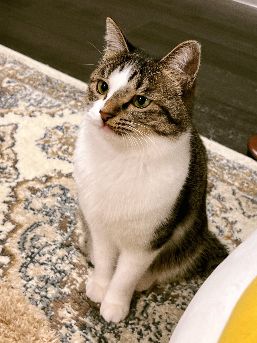 おもち② おもち② おもちページ おもち② おもちページ zx(おもち) (@zx_aka_mo