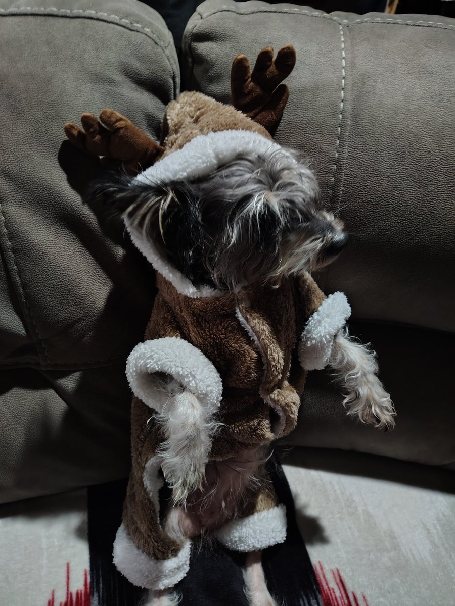 Potato Photographer tweet media