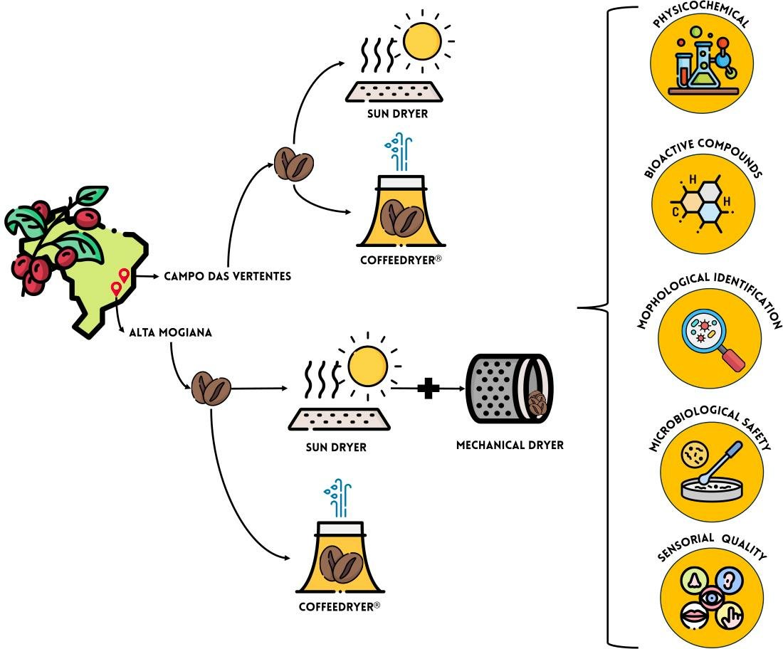 Foods_MDPI's tweet image. #mdpifoods 🔔#Editor’s Choice Article
📚☕️Title: Influence of #Drying Methods on the #Post-Harvest Quality of #Coffee: Effects on  Physicochemical, Sensory, and #Microbiological Composition
by Danilo José Machado de Abreu et al

🔗Link: mdpi.com/2304-8158/14/9…