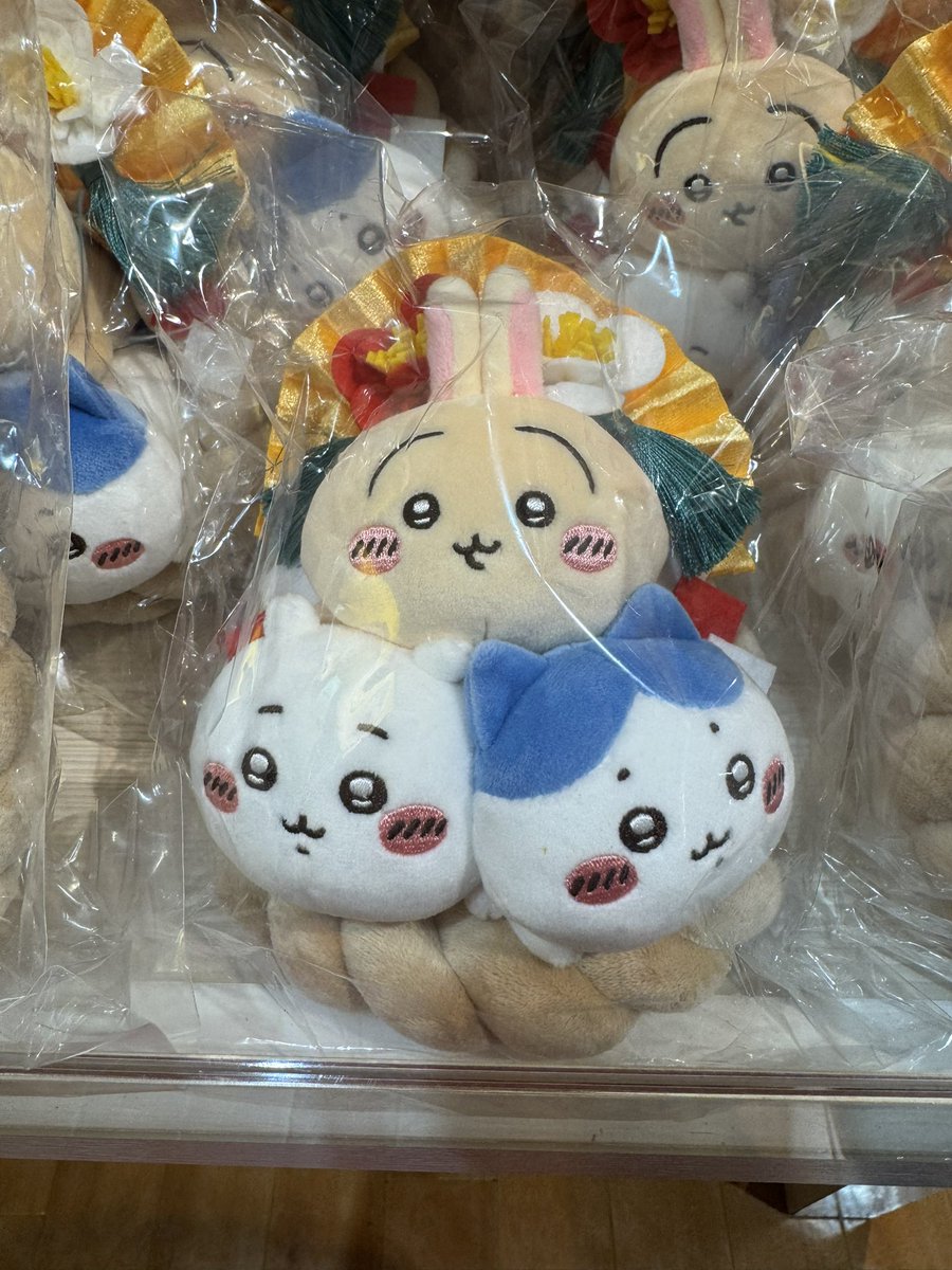 支葵 (@siki240603) / Posts / X