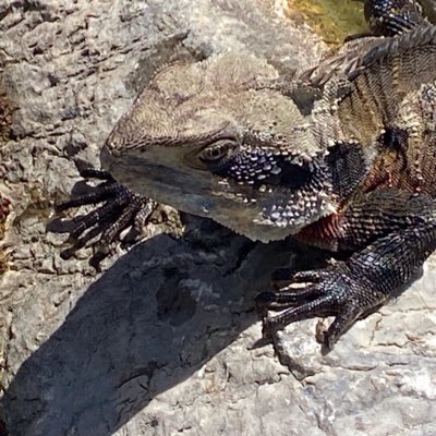WKeyesByrne's tweet photo. #NewProfilePic https://t.co/PMP0dRYU5a