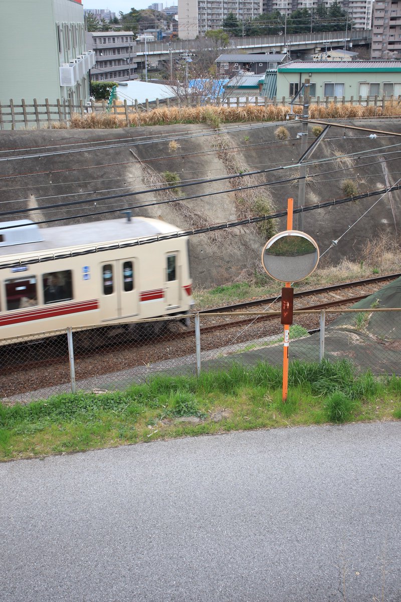 interos2101's tweet photo. #2025年自分が選ぶ今年の4枚
被写体lostしそうです。あえて申し上げます。助けて下さい。 https://t.co/76n8Tf6nNd