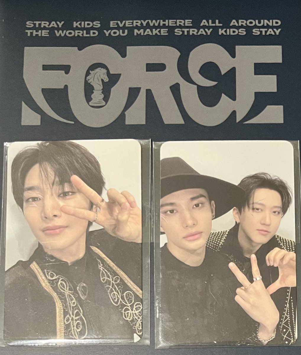 Stray Kids - straykids リノ ハン シーグリ2026 force トレカ 味噌の