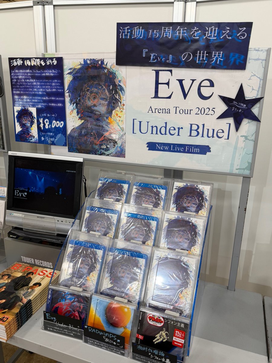 タワレコ1万枚 小さな星 シリアルNO入           (293) タワレコ1万枚 小さな星 シリアルNO入 (293)