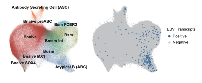 Yoshiaki Yasumizu tweet media