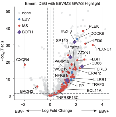 Yoshiaki Yasumizu tweet media