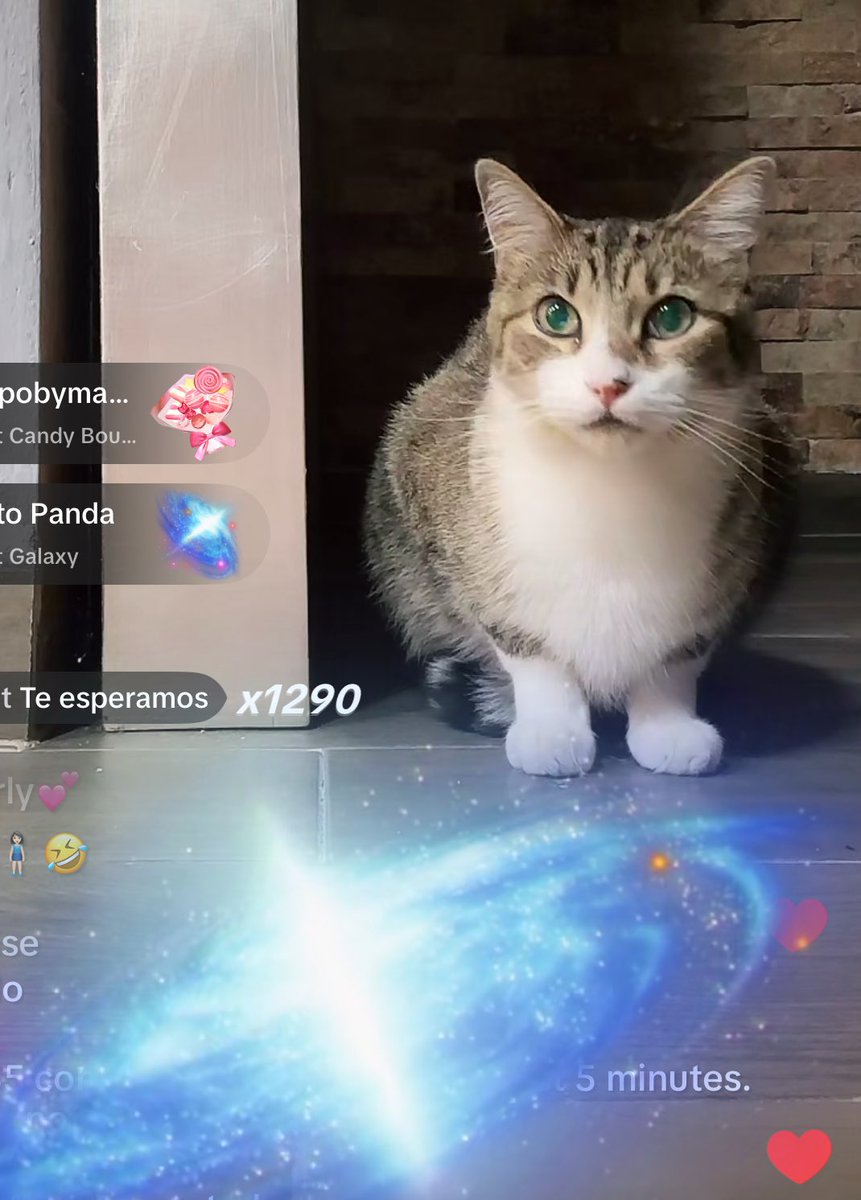 xiitla_'s tweet image. Miguelito levantando el evento, ya hasta le mandaron una galaxia