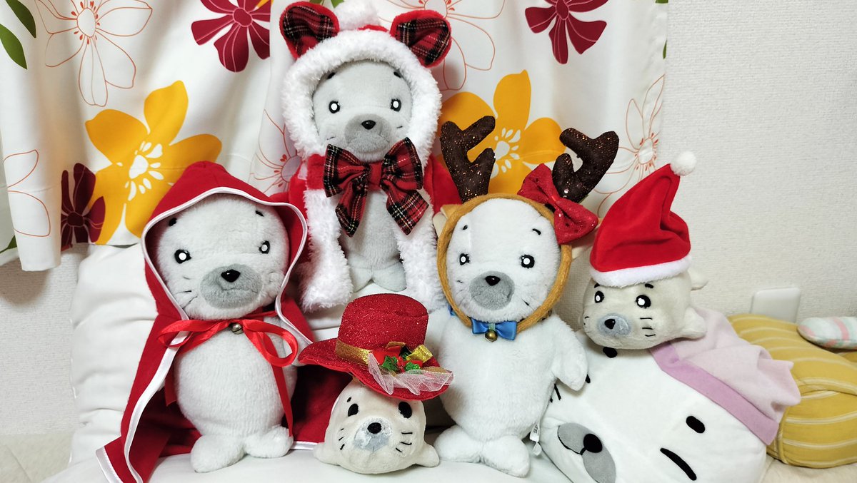 ごまちゃん 荒１５キロ fit=scale-down,w=1200