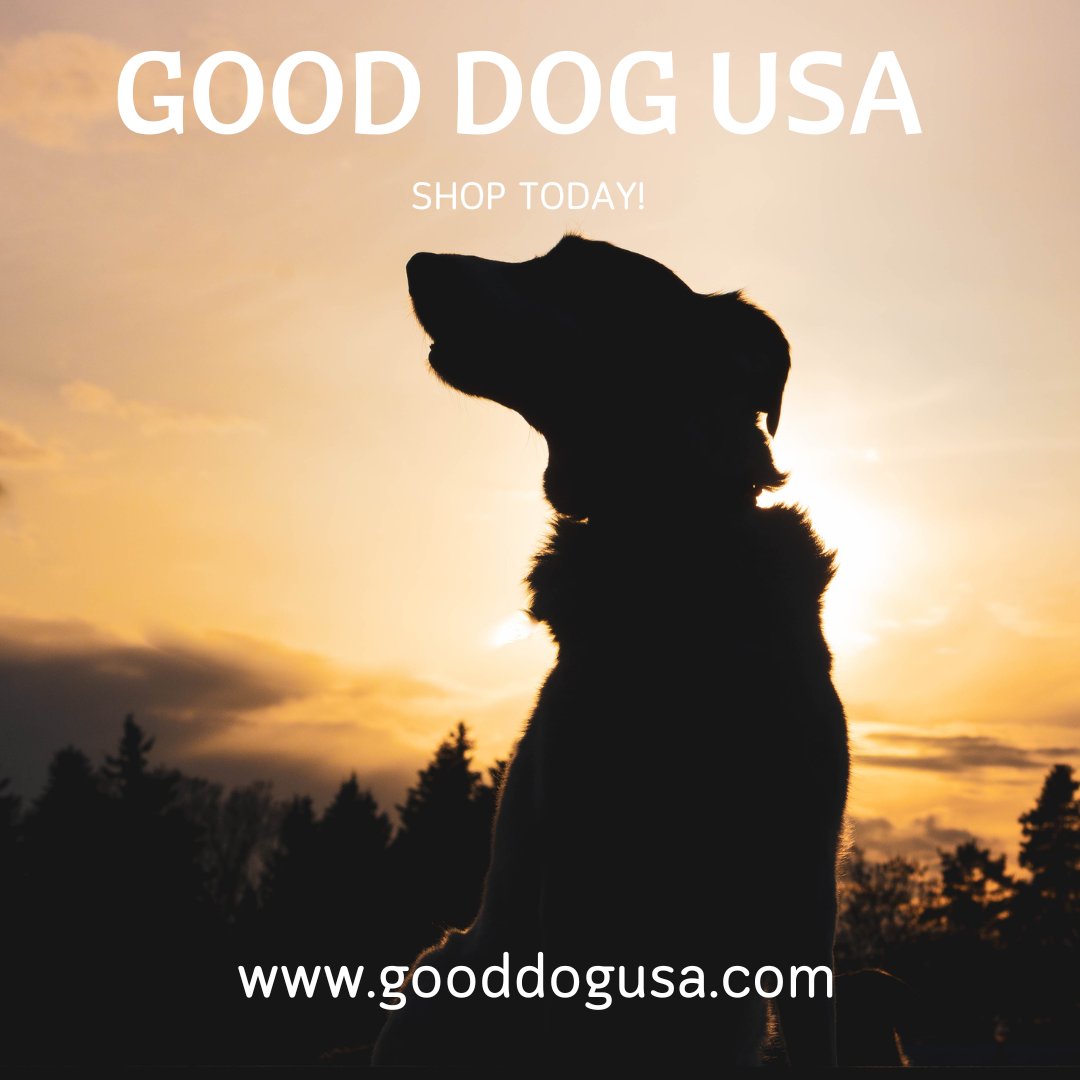 Good Dog USA tweet media