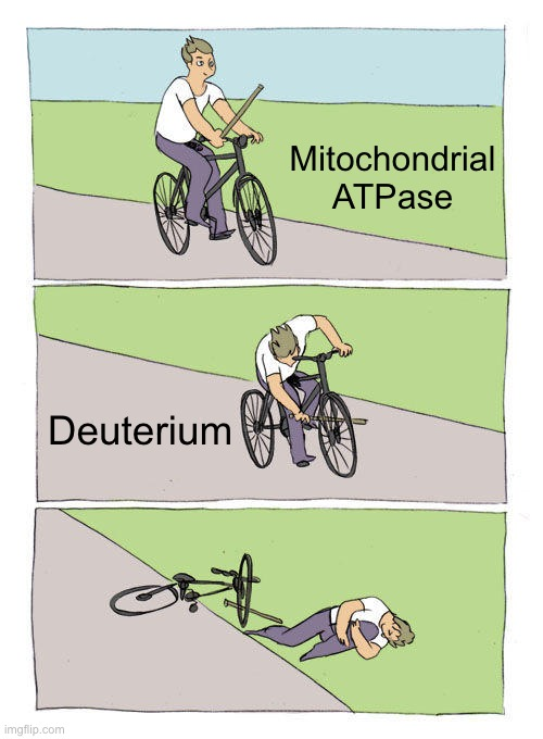 helios_brah's tweet photo. What you are doing to your mitochondrial function when consuming foods that are high in Deuterium https://t.co/uxr1NzMLJO