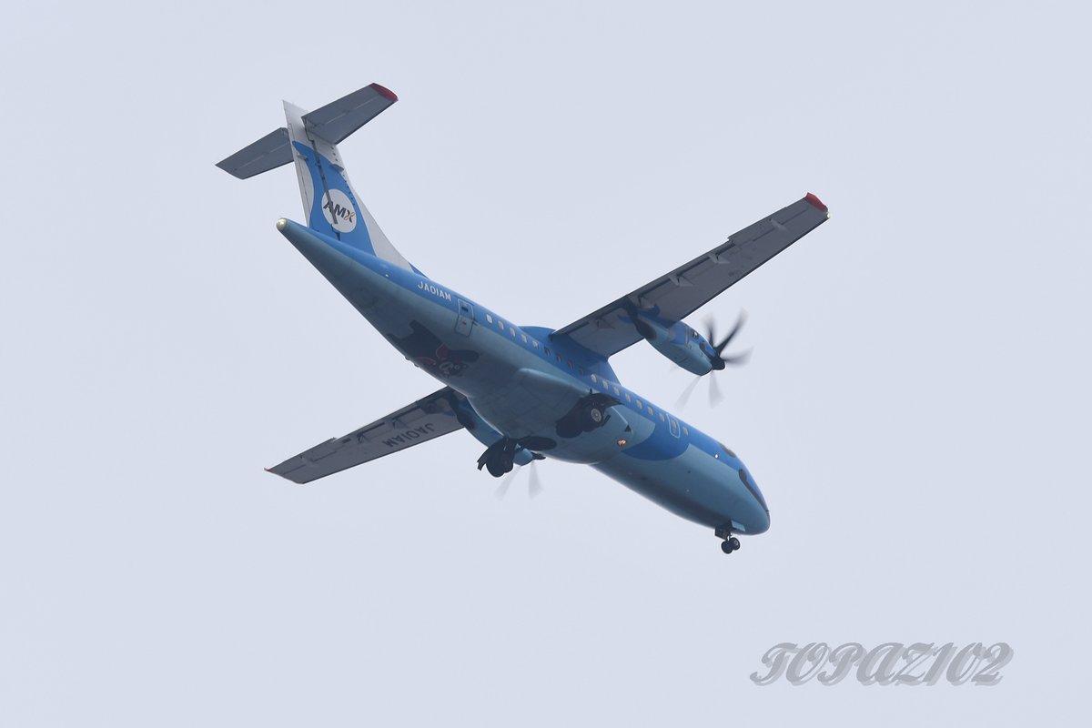 今日のみぞかちゃん 曇り空の中やって来ました 今日は12時15分過ぎの