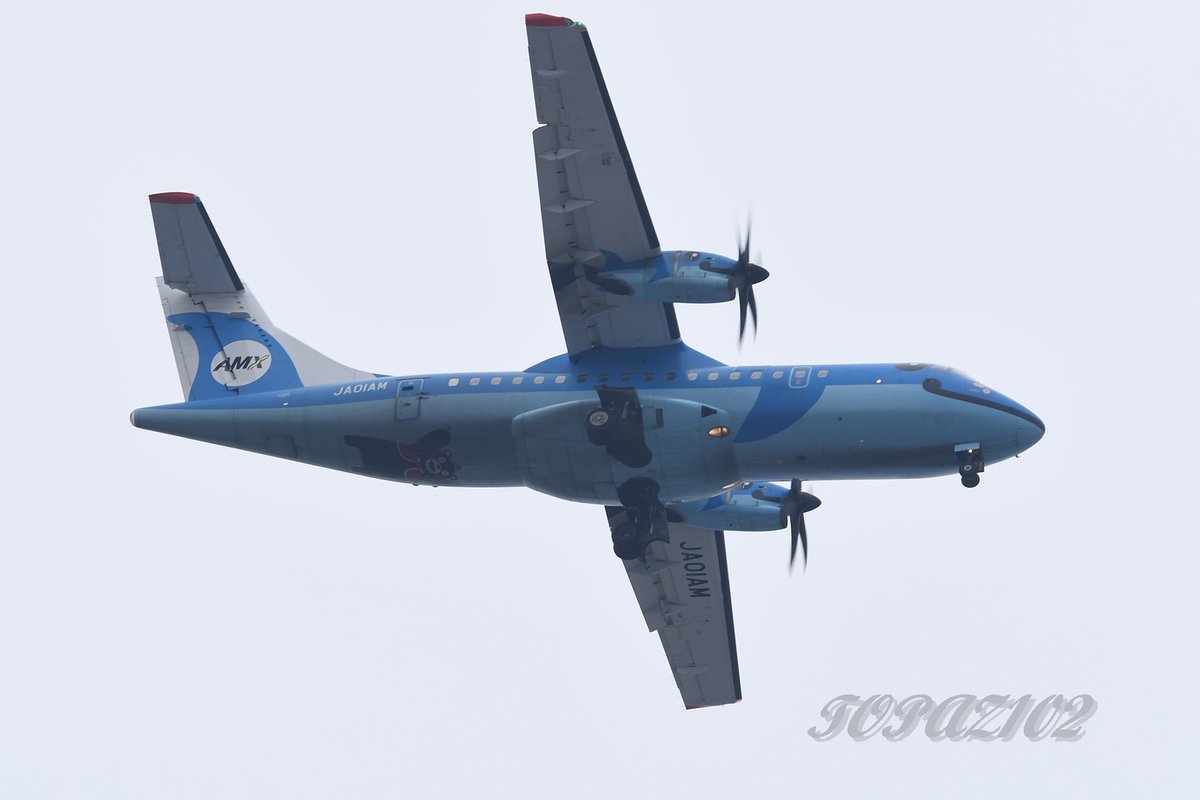 今日のみぞかちゃん 曇り空の中やって来ました 今日は12時15分過ぎの