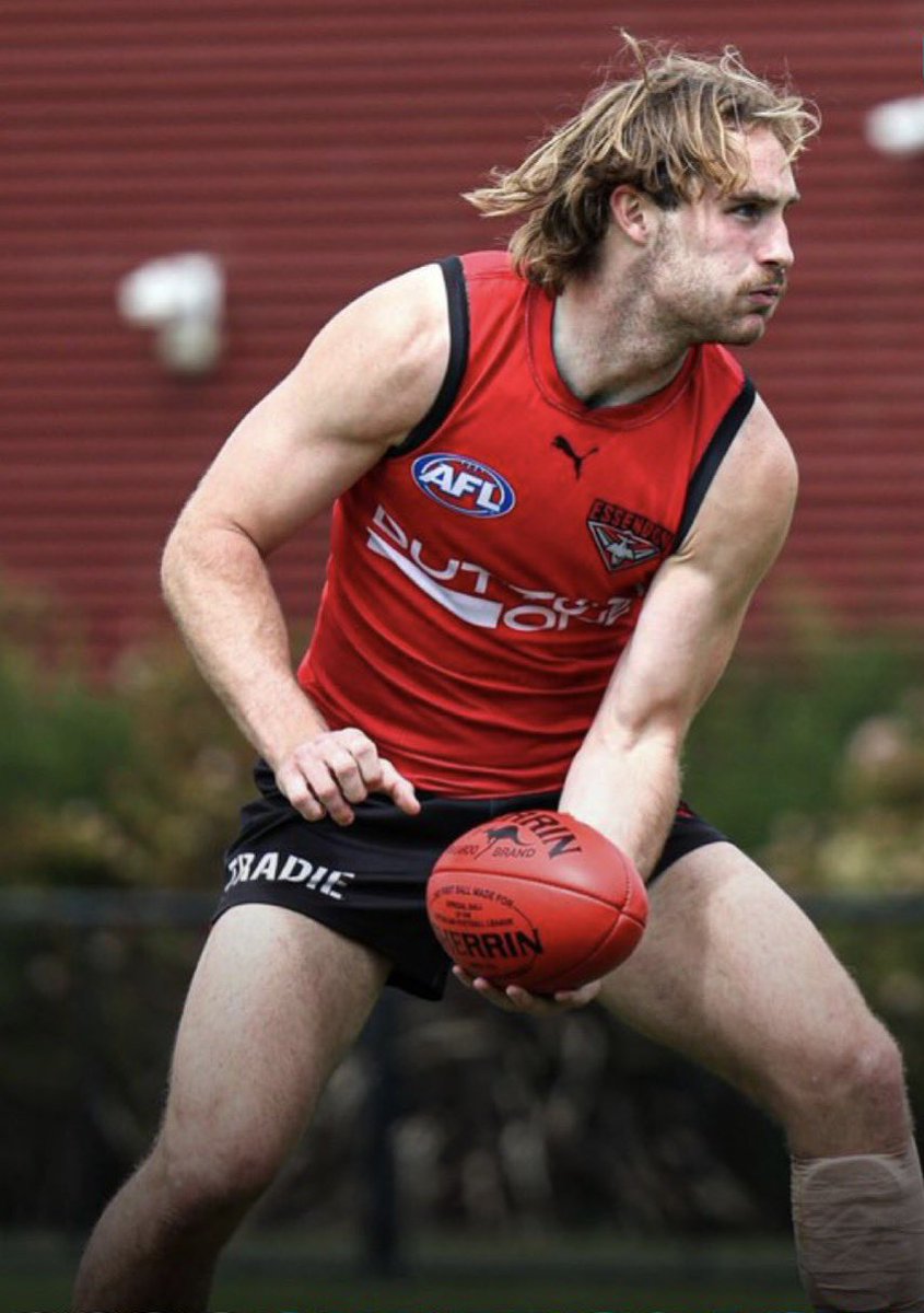 Lunchtime Catch-Up tweet media