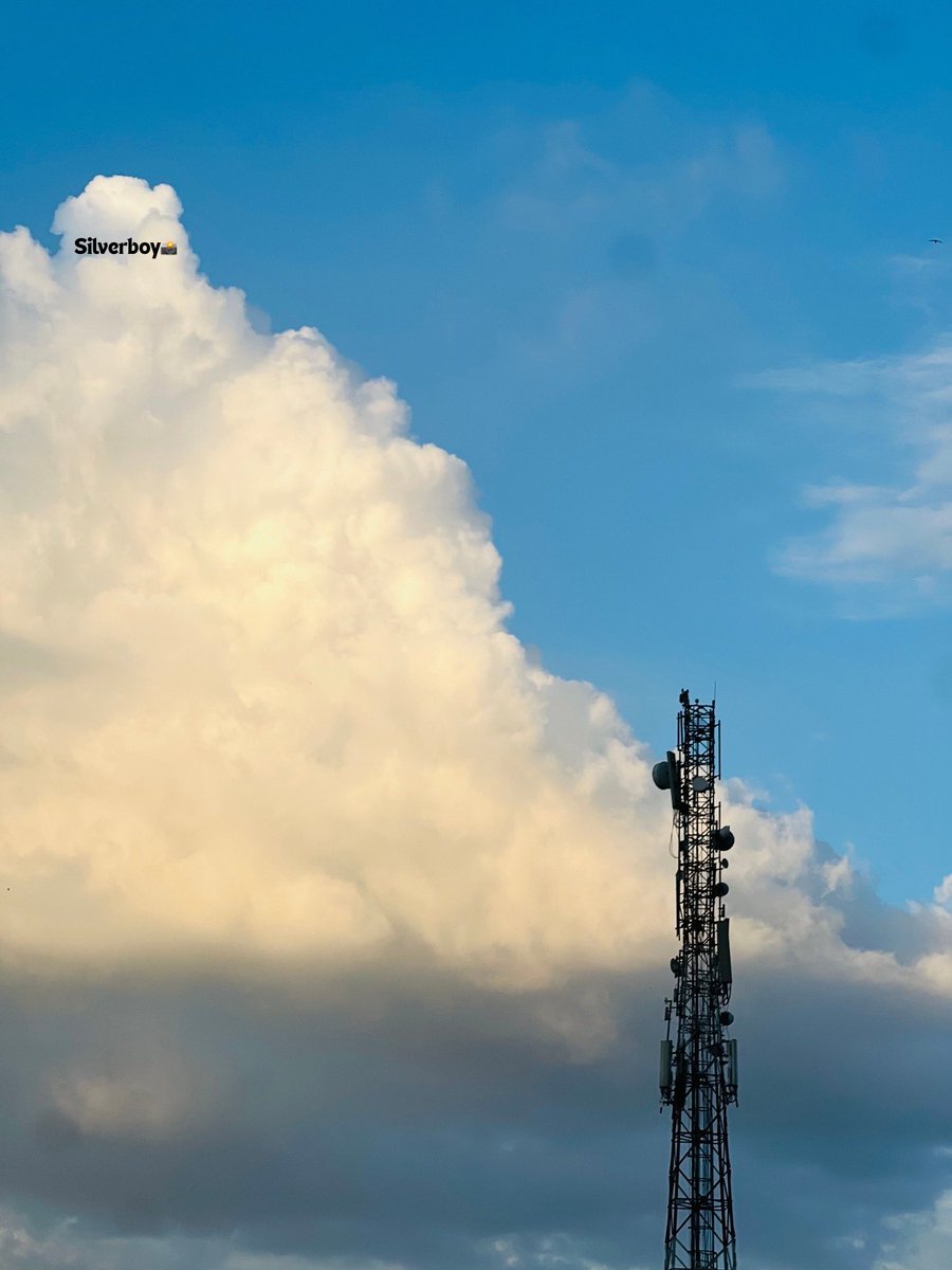 Adesuyi Silvanus tweet media