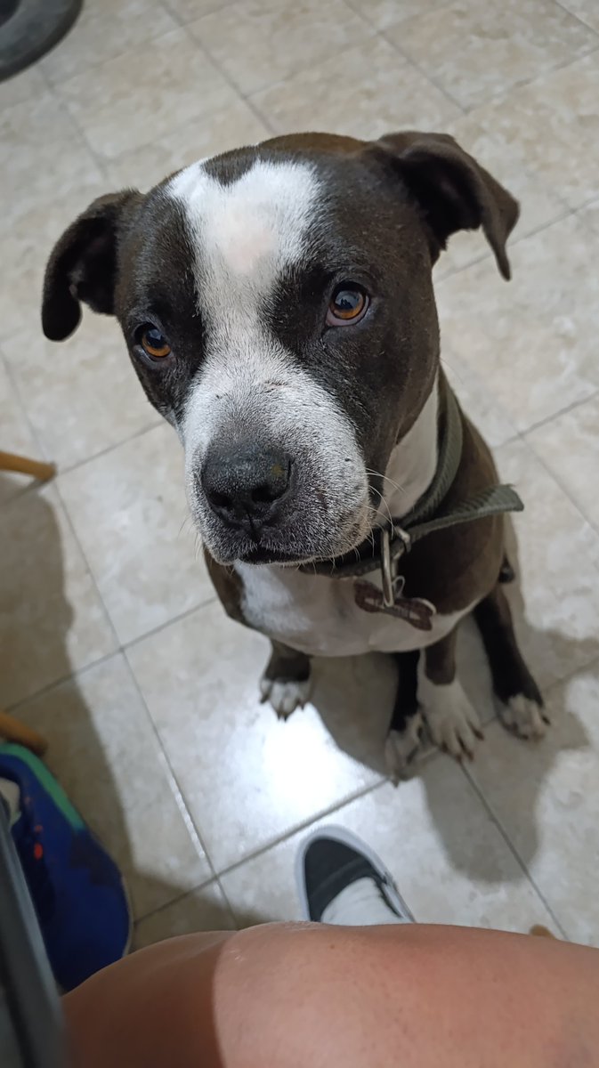 Gabriela Sc ⚡ tweet media