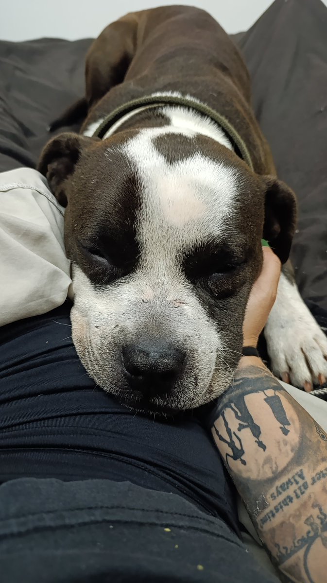 Gabriela Sc ⚡ tweet media