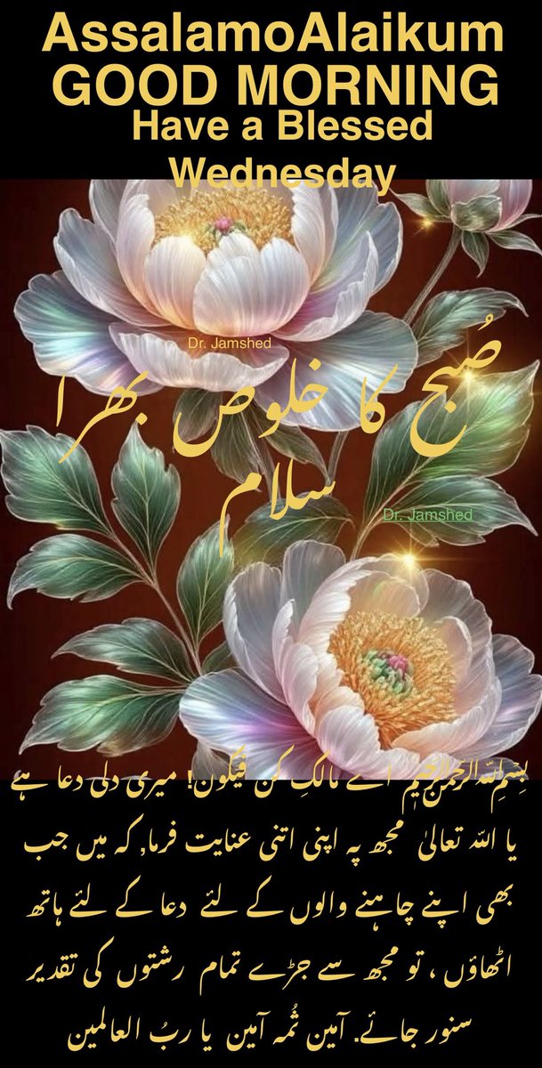 JamshedUSA's tweet image. 🏵️🏵️  Assalam   O   Alaikum  🏵️🏵️

     🏵️Good Morning“X”Family🏵️

 🏵️Have a Blessed Wednesday🏵️

🏵️(Like + Rt = Follow Back ) 💯 💐