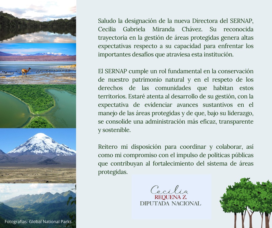 Senadora Cecilia Requena (@senadorarequena) on Twitter photo 