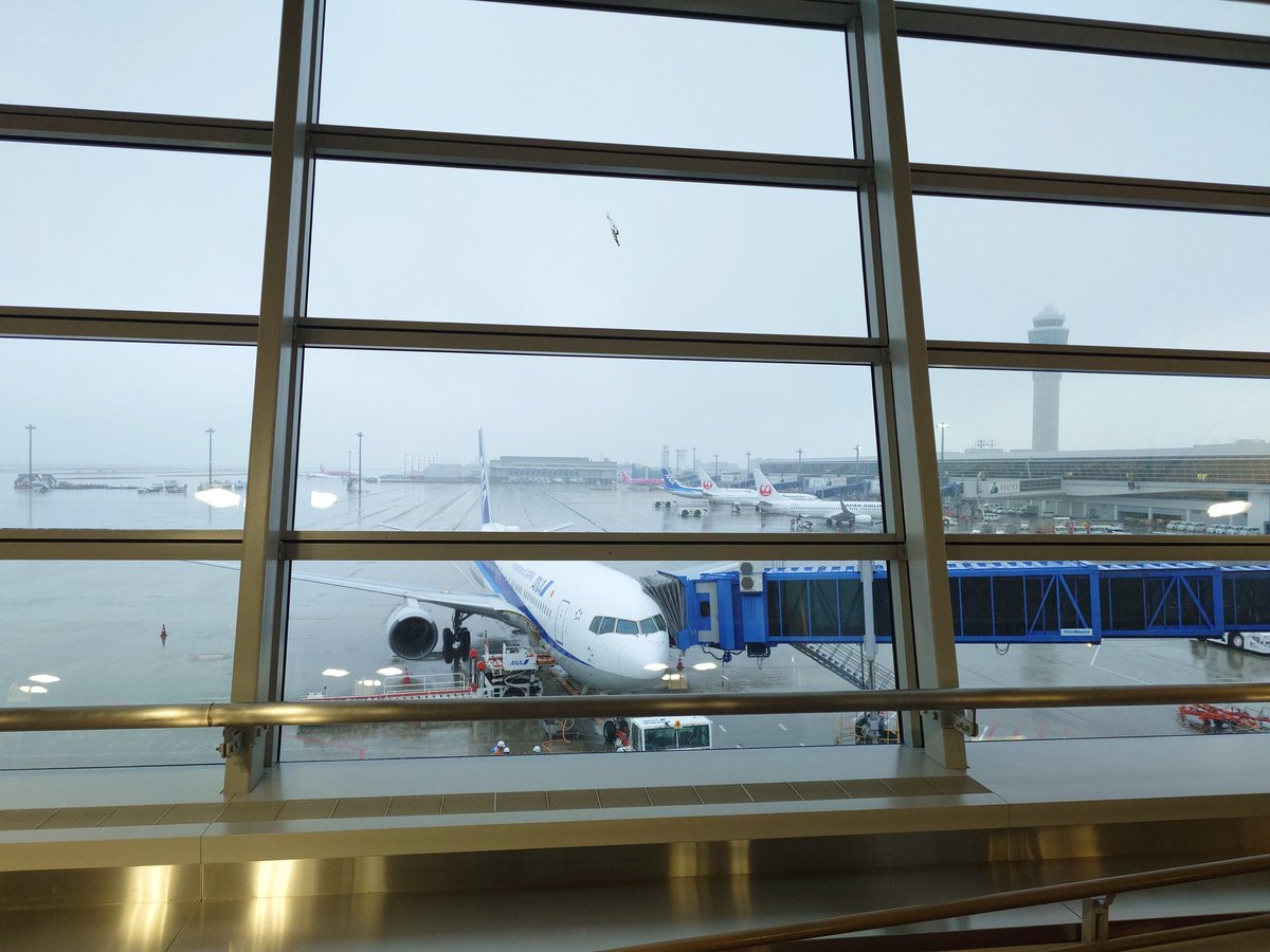 nsksd2's tweet image. てことで76Pでクリスマスフライトしてきます。

久しぶりに中部からNH便。

てかまさかのカラスフライトw

#セントレア
#NGO
#ANA
#NH703
#カラスフライト
#76P
#JA608A
#クリスマスフライト