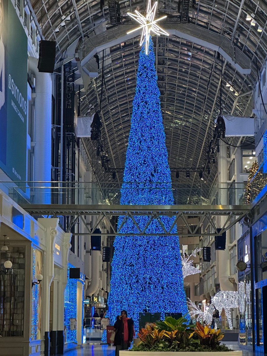 babelrules's tweet photo. As the city transforms into a winter wonderland, our hearts fill with joy. Merry and bright! ❄️✨ https://t.co/T2W59g9pfW