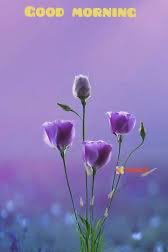 Anil Jadhav (@aniljadhav1995) on Twitter photo 