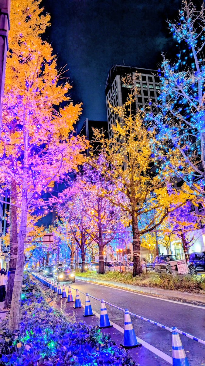 une_rose49's tweet photo. 🎄Merry Christmas✨🎄
#Japan #Osaka #Osakanight
#Winterillumination
#Nightphotography
#ColorfulLight💙✨ https://t.co/e8PK75elc0