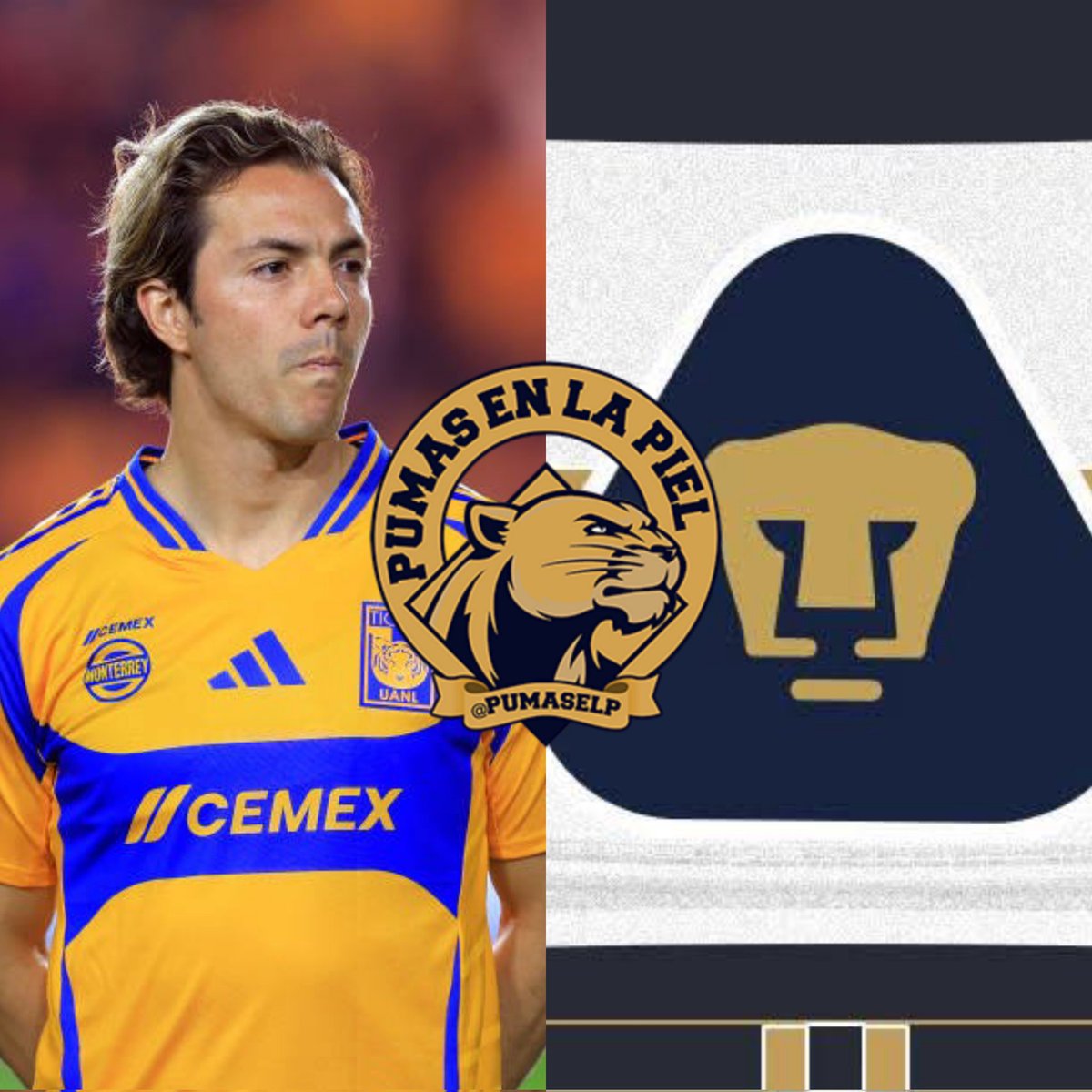 Pumas En La Piel tweet media