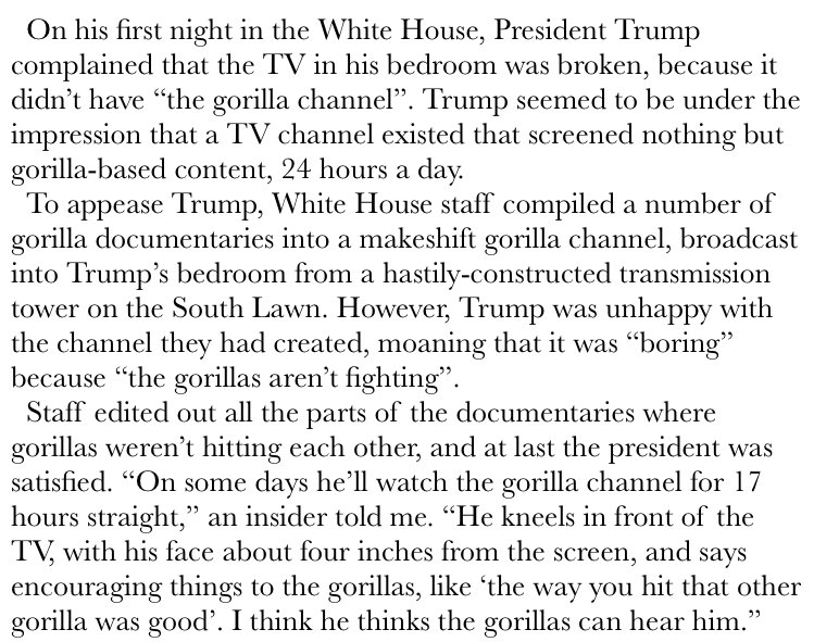 archtype's tweet image. Trump finally got his Gorilla Channel